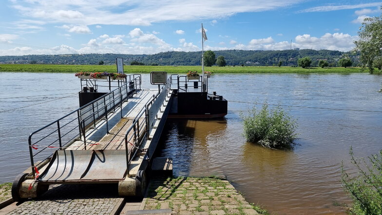 Der erste Uferbereich an der Dampferanlegestelle in Radebeul ist überflutet.