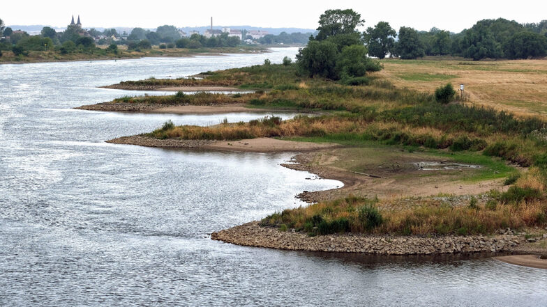 Bei Magdeburg gibt es diese künstlich angelegten Buhnen. Sie beeinflussen den Pegel in der Flussmitte und könnten ein Vorbild für die Elbe in Sachsen sein.
