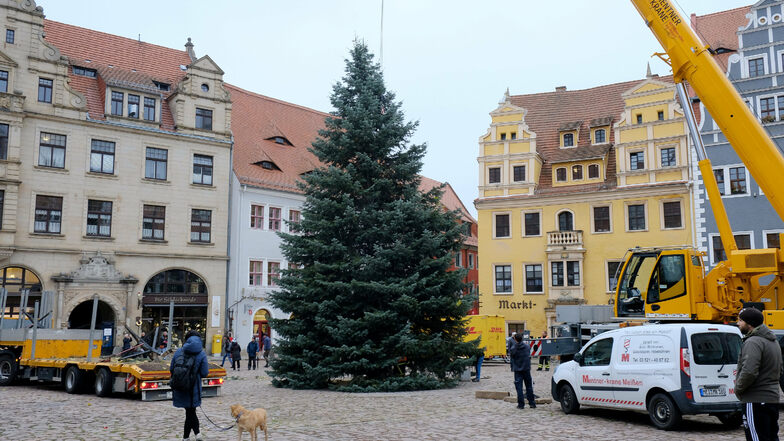 So wie es dieses Archivfoto aus dem vorigen Jahr zeigt, soll auch in diesem Jahr ein Weihnachtsbaum auf dem Markt aufgestellt und geschmückt werden. Er soll in der Adventszeit leuchten – unabhängig davon, ob der Weihnachtsmarkt stattfinden kann.