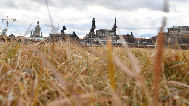 Dresden stoppt neues Klimaschutzkonzept