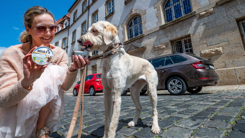Döbelner Eiscafé verkauft jetzt Eis für Hunde