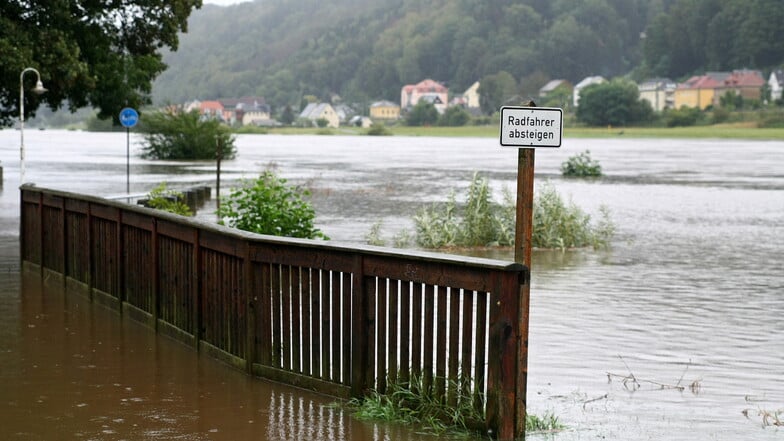 Hier mündet eigentlich die Kirnitzsch in die Elbe.