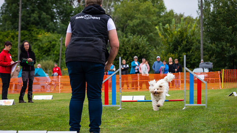 Jana Krautschick und ihre Hündin Valli starteten für den gastgebenden Hundesportverein „Pfote drauf“ bei der SGSV-Meisterschaft in der Leistungsklasse 2.
