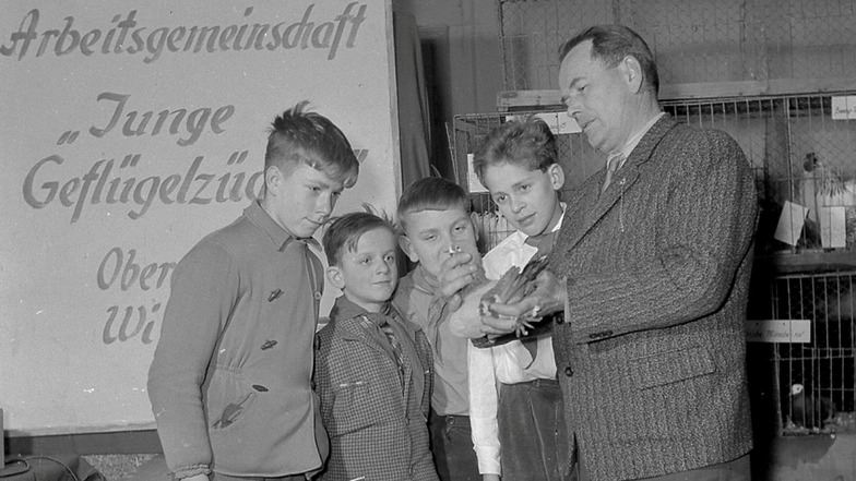 Ernst Baumann war auch ein erfolgreicher Taubenzüchter.
