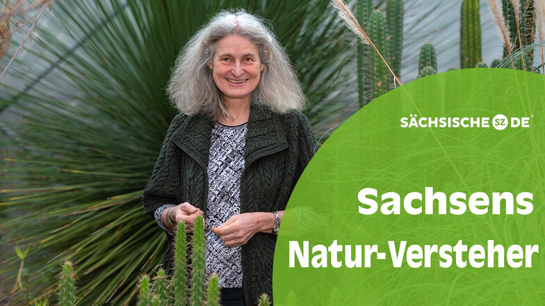Es grünt so grün: Als wissenschaftliche Leiterin im Botanischen Garten hütet Barbara Ditsch mit 15 Gärtnern rund 10.000 Pflanzenarten.