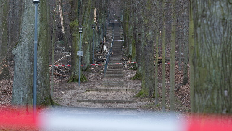 Weil mehrere Bäume umgestürzt sind und weitere Gefahren drohen, ist der Treppenaufgang zur Landeskrone in Görlitz jetzt erst einmal abgesperrt.