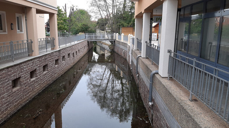 Erstmals seit vielen Wochen führte das Elsterfließ in Hoyerswerdas Altstadt am Montag wieder Wasser und auch der Hauptlauf der Schwarzen Elster füllte sich unterhalb des Hauptwehres langsam wieder. Eine Wasserentnahme ist aber noch nicht erlaubt.