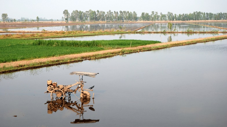 Die Felder im Mekong-Delta sind durch Sandabbau gefährdet.