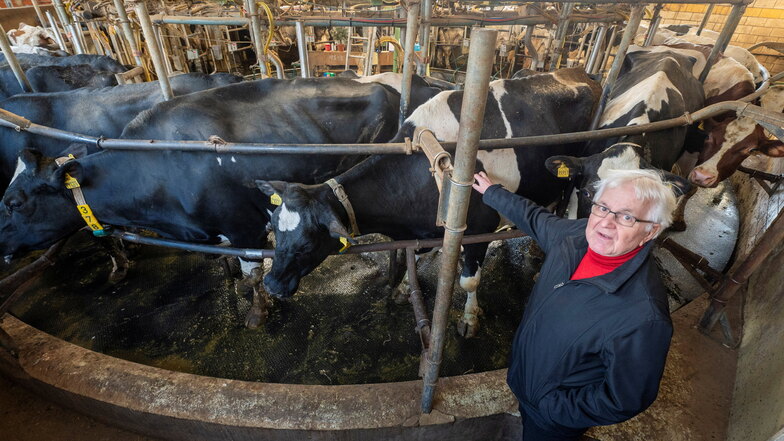 Agrargenossenschaft beendet Milchproduktion in Radeburg