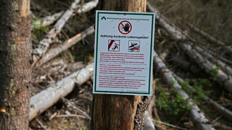 Achtung Lebensgefahr: Mehrere Wanderwege im Nationalpark Sächsische Schweiz sind durch umgestürzte Bäume versperrt.