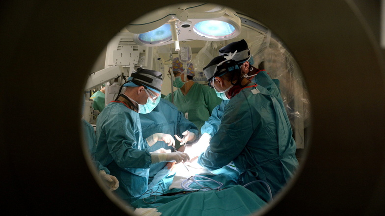 Die Einstufung der Aorta als Organ ist vor allem für Ärzte und Kliniken relevant.
