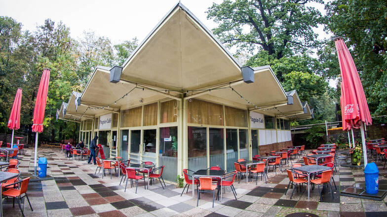2015 stand das Pinguincafé noch im Dresdner Zoo. Nun könnte es bald in die Öffentlichkeit zurückkehren.