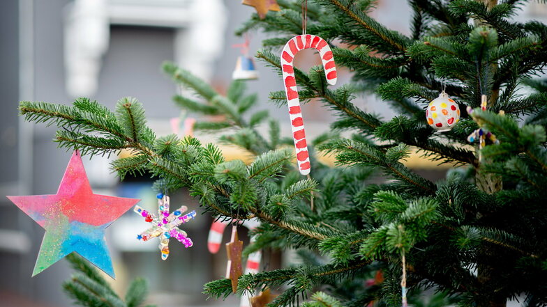 Mit einem etwas anderem Schmuck soll der Weihnachtsbaum in der Heidenauer Bibliothek jetzt geschmückt werden.