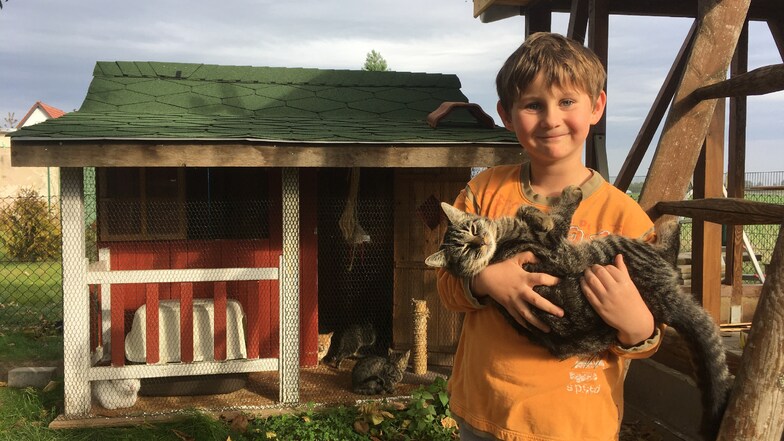 Wyatt-Julien haben die Zöglinge von Familie Hodinka ihre jetzige Behausung zu verdanken. Der fünf Jahre alte Junge stellte im Sommer kurzerhand sein Spielhaus zur Verfügung.
