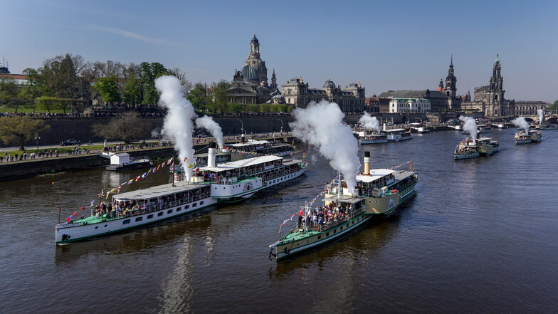 Dampferflotte in Dresden: Premieren und eine Sorge
