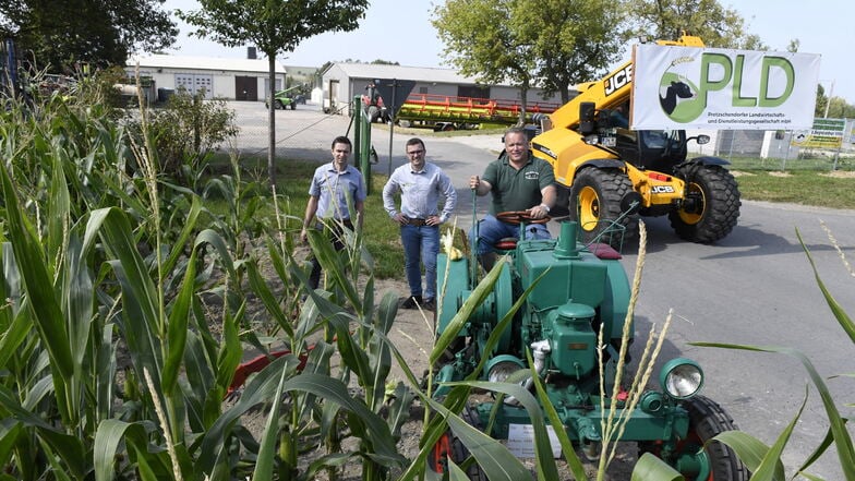 Claus Stephan (li.) und Felix Nitsche von der Agrargesellschaft und Falk Müller auf seinem Kramer-Traktor stehen am Eingang eines Labyrinths.