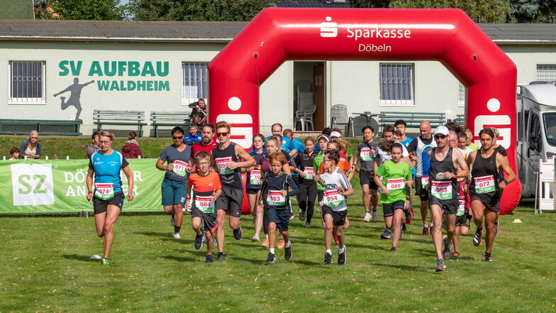 Insgesamt 118 Läufer und Walkingsportler sind beim 39. Waldheimer Eichberglauf auf die verschiedenen Strecken gegangen.