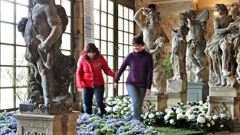 In den kommenden Tagen erblühen im Palais mehr als 40.000 Frühlingsblumen.