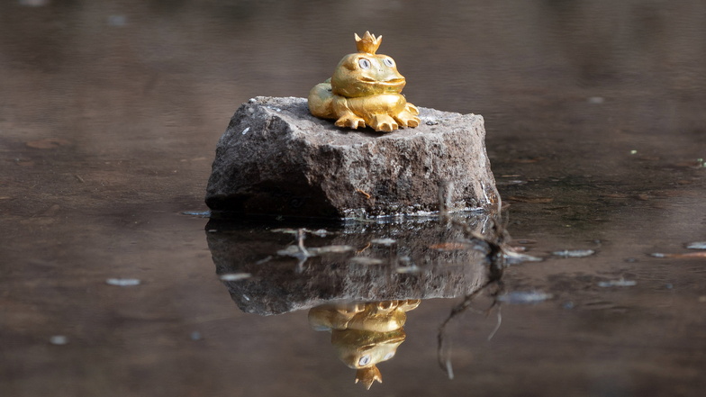 Stolz blickt er auf sein Reich: der goldene Froschkönig im Burgteich.
