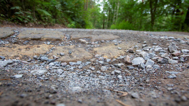 Wenn ein Waldweg zur offiziellen Umleitung wird. Der Wäldchenweg bei Halbestadt hat dadurch gelitten.