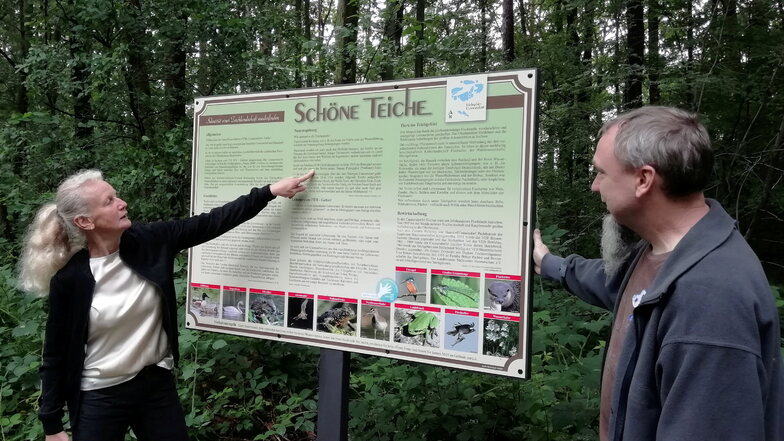 Infotafeln erläutern Spaziergängern und Radlern Wissenswertes über das Cunnersdorfer Teichgebiet.