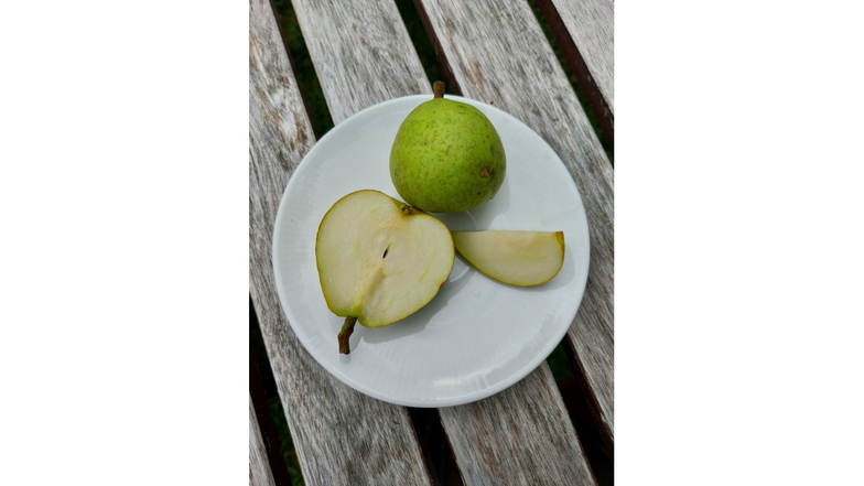 Gelb-weißliches Fruchtfleisch, süß-aromatischer Geschmack: Die letzten diesjährigen Früchte der Grünen Hoyerswerder von Karla Pfau aus Radebeul.