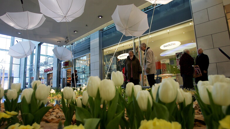 Im Jahr 2009 konnten Besucher der Altmarktgalerie eine preisgekrönte Blumenschau bewundern. Das Landschaftsarchitekturbüro Lagotzki, Starke und Grütze hatte den Wettbewerb Flora Design gewonnen.