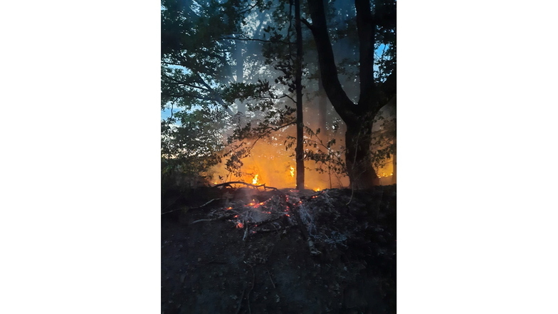Die Harthaer Gemeindewehr löschte am Freitagabend einen Flächenbrand in Nauhain.