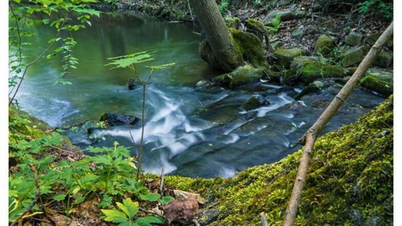 Mitten im waldreichen Gebiet des Landschaftsschutzgebiets Oberlausitzer Bergland entsteht eines der besten Mineralwässer.