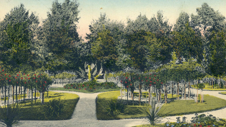 Ein herrlicher Blick von einst: das Rosarium im Großenhainer Stadtpark.