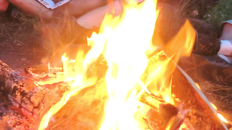 Symbolfoto: Ein Lagerfeuer hat in einem Wald bei Schönfeld zu einem Schwelbrand geführt.
