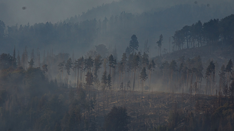 Der Blick auf abgebrannte Waldstücke offenbart die Ausmaße der Katastrophe.