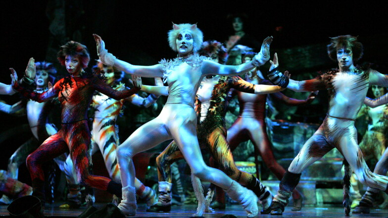 "Cats"-Musical kommt in die Semperoper