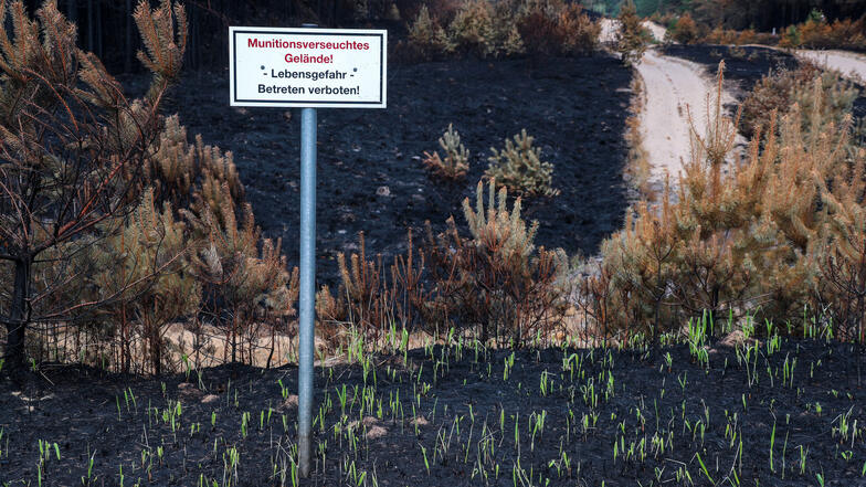 Eine Woche nach dem Ausbruch des verheerenden Waldbrandes bei Lübtheen in Südwestmecklenburg sind nach Angaben der Einsatzleitung die Flammen in dem hochgradig mit Munition belasteten Gebiet erloschen.