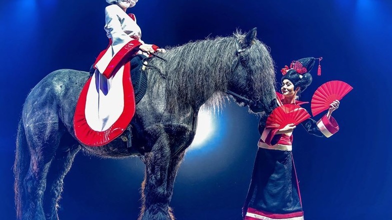 Das Foto zeigte Daphne de Visser (auf dem Pferd) in der Show.