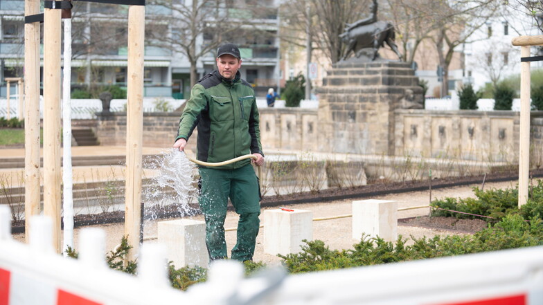 Die Anlage um den Europabrunnen am Königsheimplatz wird neu gestaltet. Tom Rösler von der Firma Saule Landschaftsbau GmbH gießt die neu gepflanzten Gehölze an.