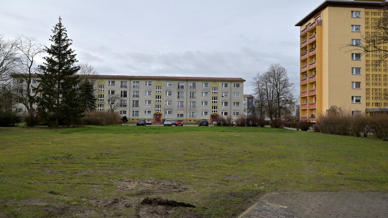 Hier, wo noch vor wenigen Monaten das Haus Bachstraße 30-34 stand, sollen in diesem Jahr 15 Stellplätze für Pkw entstehen.