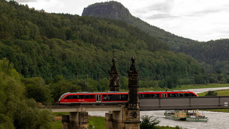 Nationalparkbahn quert die Elbe in Bad Schandau: Seit Mitte Juli gab es dieses Bild nicht mehr zu sehen.