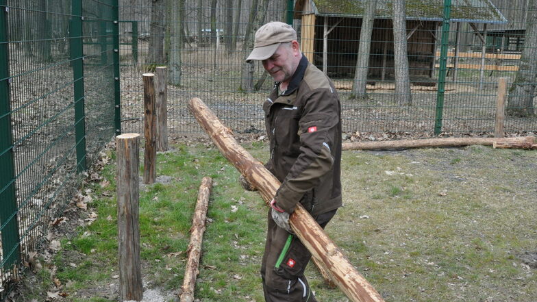 Wildgehege-Mitarbeiter Jürgen Wohsmann baut eine neue Absperrung an der Anlage mit den Wildpferden.