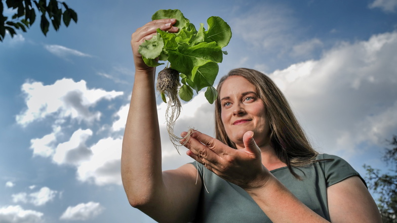 Franziska Krone vor Wolken mit einem kleinen Teil ihrer Farm: eine Salatpflanze, die ohne Erde wächst und sehr wenig Wasser verbraucht. Das sollte die Zukunft sein, findet die Vertikal-Gärtnerin.