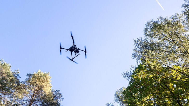 Drohnen im Kreis Görlitz sollen künftig Borkenkäfer erschnuppern