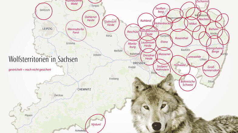 Die Wolfsrudel im Überblick. Mehr Infos zu den einzelnen Territorien finden Sie in unserer interaktiven Karte am Ende des Artikels.