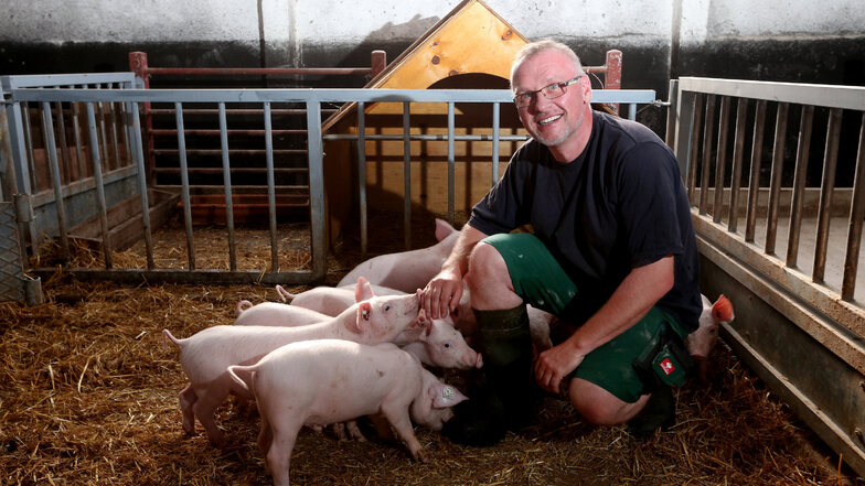 Sven und Torsten Krawczyk bieten jedem Schwein acht Quadratmeter. 100 schlachten sie im Jahr. Statt erwachsene Mastschweine zu kaufen, verbringen die Tiere ihr Leben inzwischen von Anfang bis Ende auf dem Hofgut Westewitz.