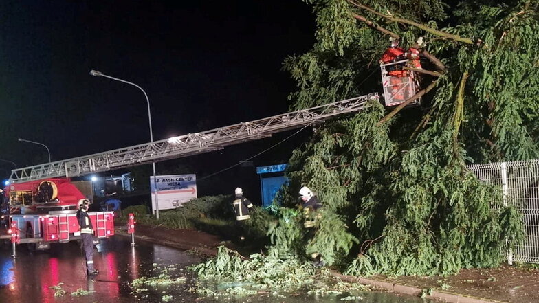 Das Unwetter in der Nacht zu Mittwoch ließ in der Region etliche Bäume umknicken. Hier ein Einsatz der Feuerwehr Riesa an der Lommatzscher Straße.