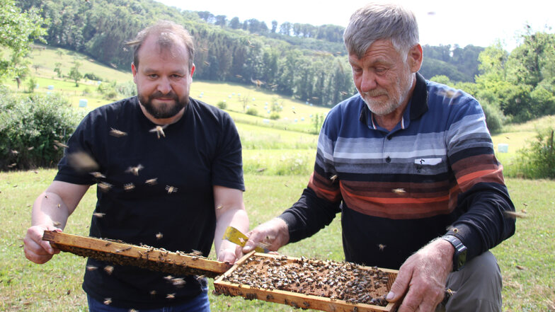 Experten im Einsatz. Tino Lorz (li.) und Jos Gus kennen sich mit Bienen aus wie nur wenige.