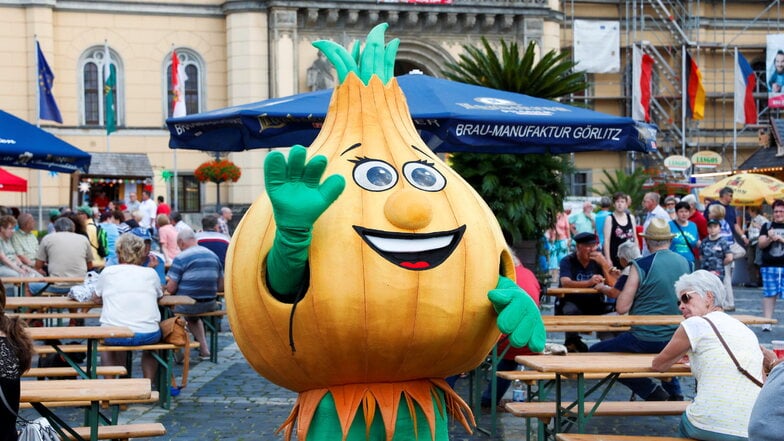 Das Zittauer Maskottchen heißt Zwiebelchen und lässt sich gern zu Stadt- und anderen Festen blicken.