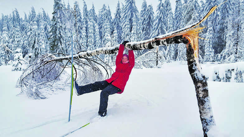 Beim Skifahren am Kahleberg bei Altenberg entstand dieses Winterbild. Jürgen Gäbel fotografierte Tochter Jolina. Durch den Schneebruch war der Baum wie ein Streichholz umgeknickt, schreibt der Lohmener zu seinem Wettbewerbsbeitrag.