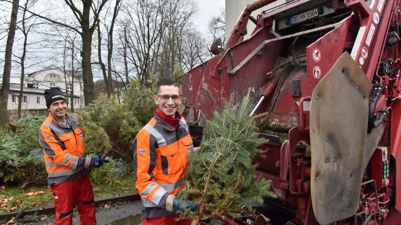 Sebastian Tenert (l.) und Marcel Wolff von der Firma Nestler laden in Freital ausgediente Weihnachtsbäume in ihr Pressfahrzeug.