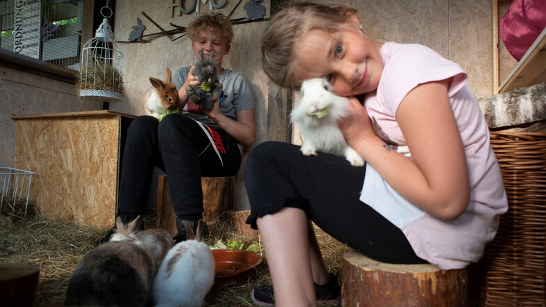 Vorrangig für eine große Kaninchen-Oase wurde der Garten angeschafft. Sunny und Lenni hatten sich schon immer Tiere gewünscht. Hier gibt's genügend Platz für ihre sechs Hasen.