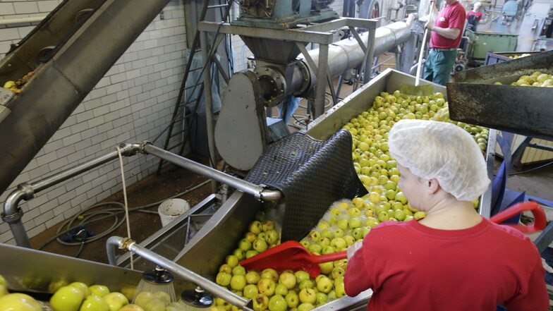 Hier gibt es Vitamine, aber wer testet die Mitarbeiter? In der Lausitzer Früchteverarbeitung in Sohland arbeiten auch Polen und Tschechen, für die bald neue sächsische Vorschriften gelten.